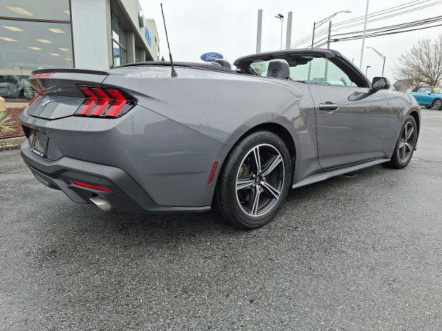 Certified 2024 Ford Mustang Premium image 5