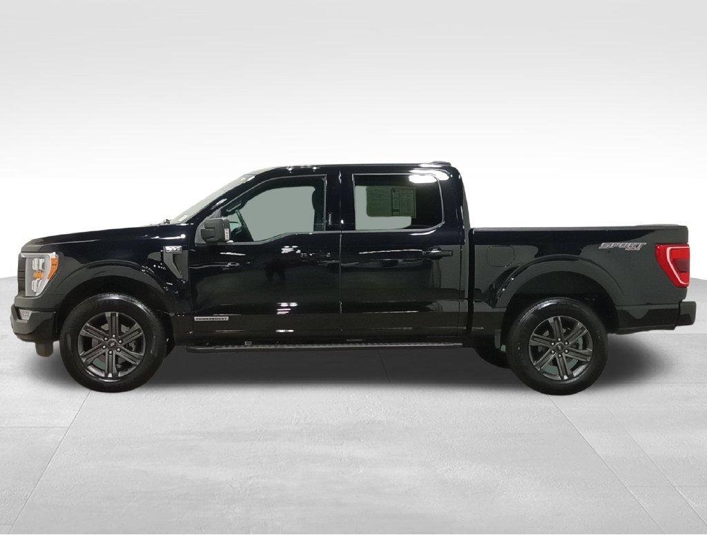 Certified 2023 Ford F150 XLT w/ Equipment Group 302A High AWD/4WD image 9