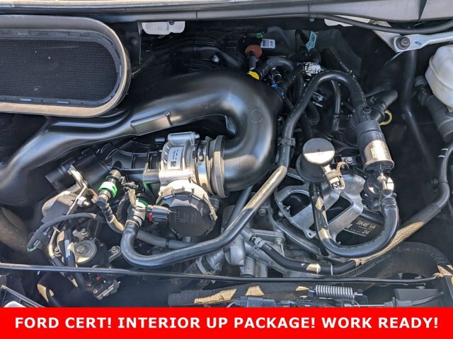 Certified 2025 Ford Transit 250 148 Medium Roof w/ Load Area Protection Package RWD image 25