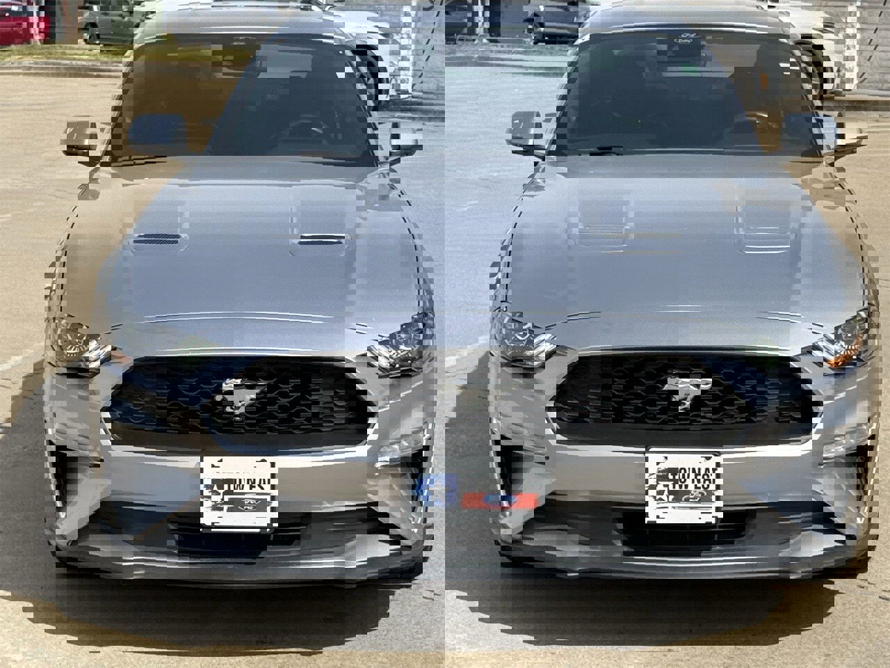 Certified 2023 Ford Mustang Premium image 6