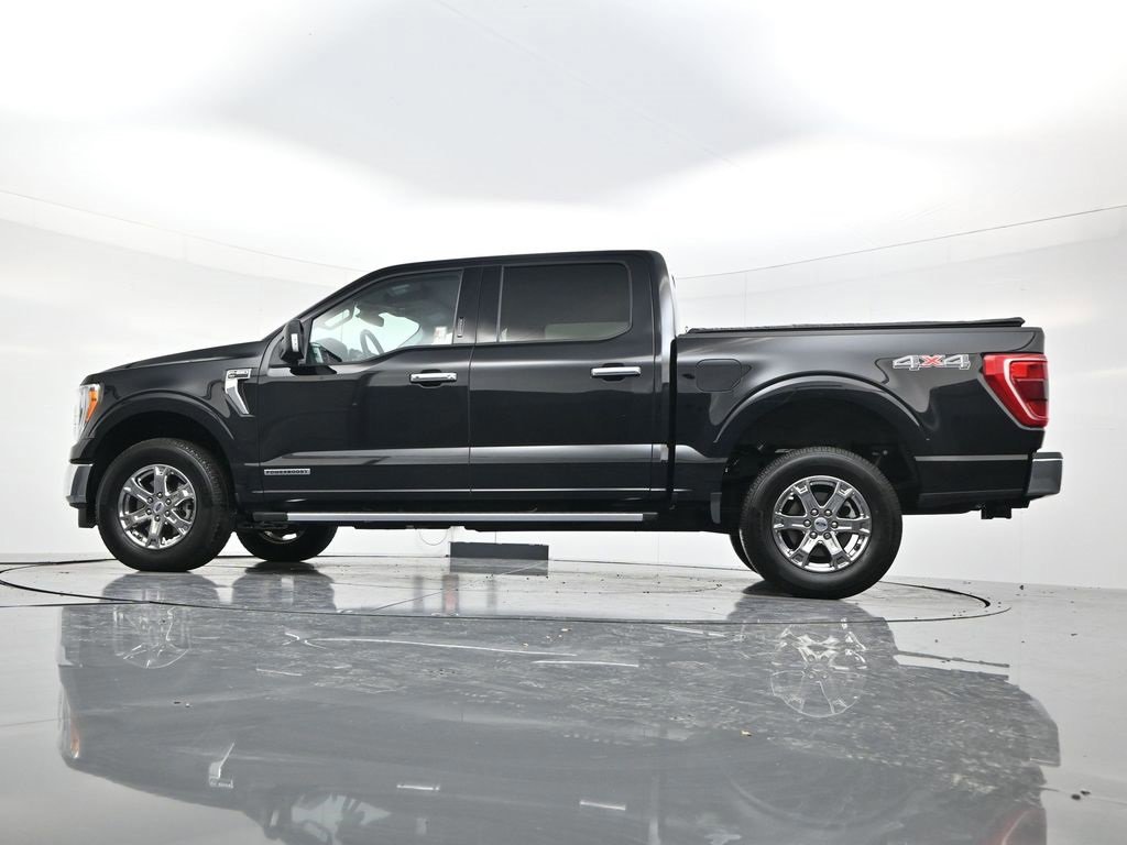 Certified 2023 Ford F150 XLT w/ Equipment Group 302A High image 8