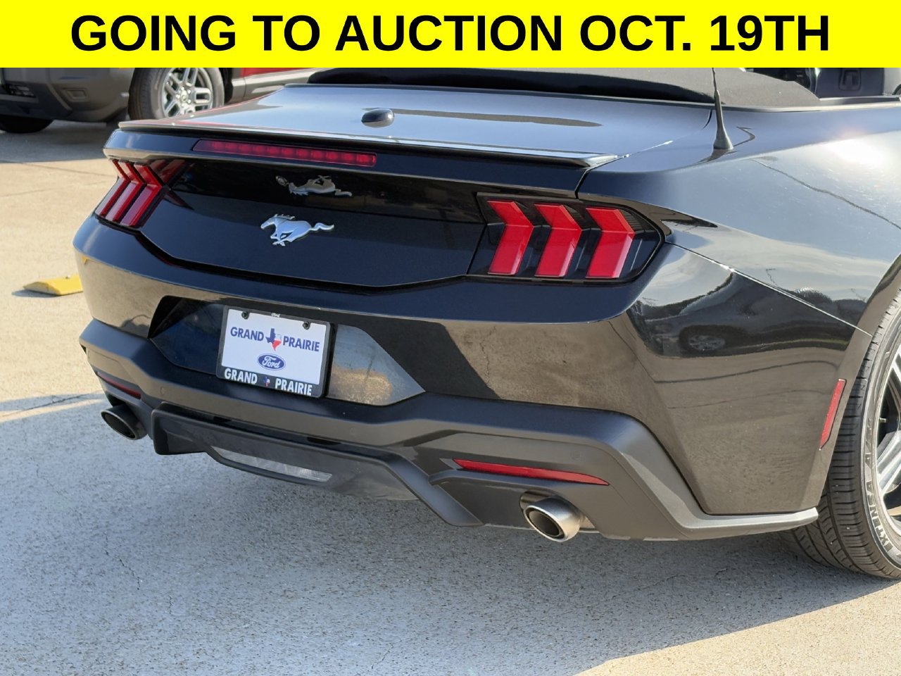 Certified 2024 Ford Mustang Premium RWD image 6