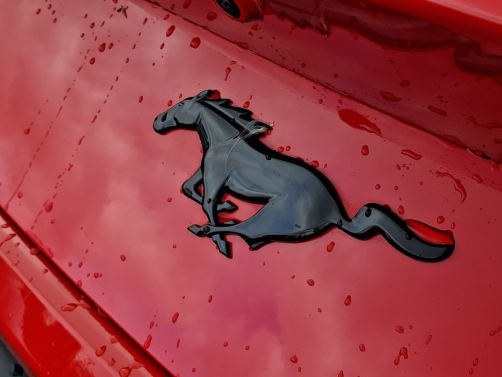 Certified 2024 Ford Mustang Premium RWD image 31