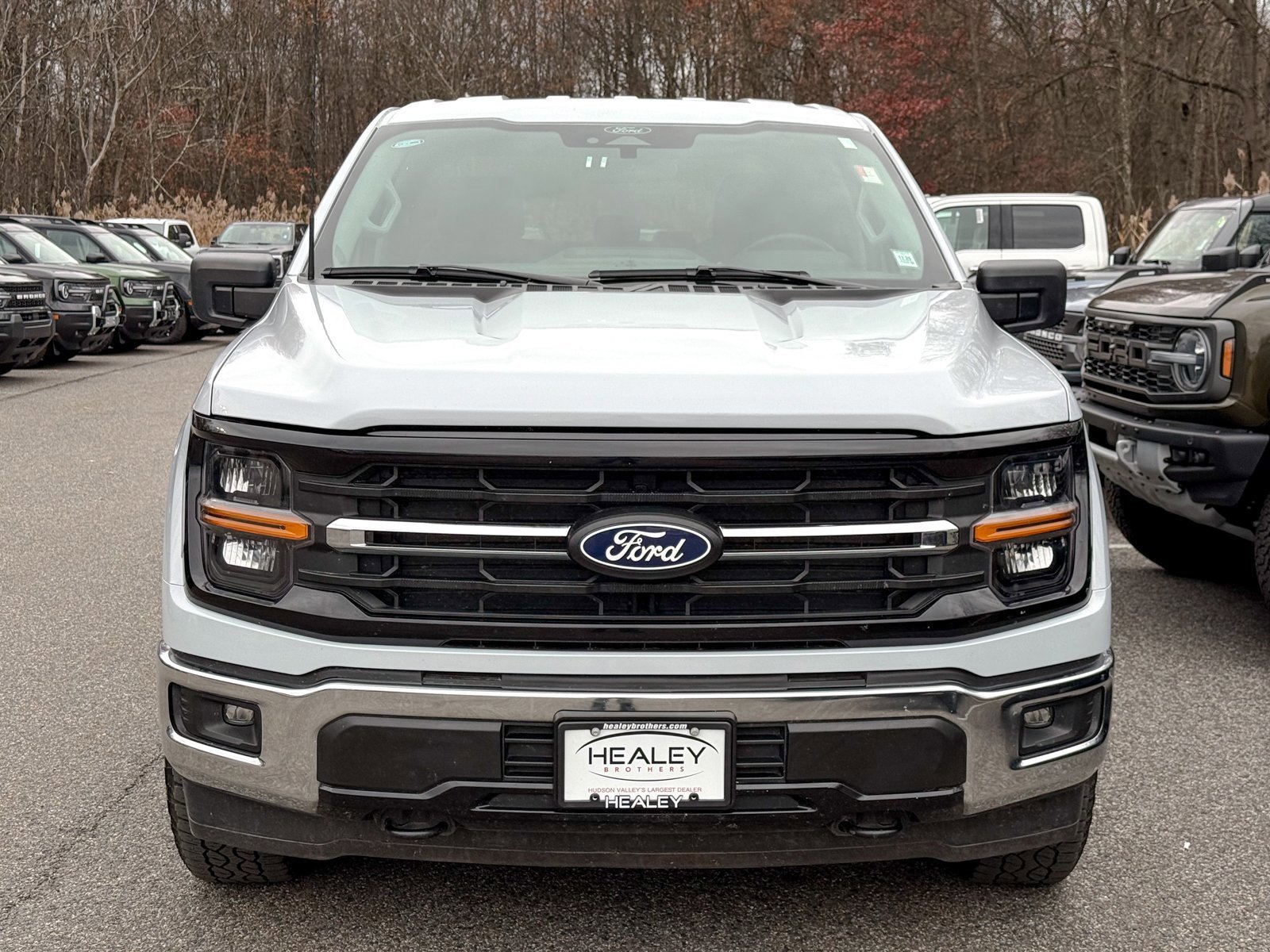 Certified 2025 Ford F150 XLT w/ Equipment Group 301A Standard image 8