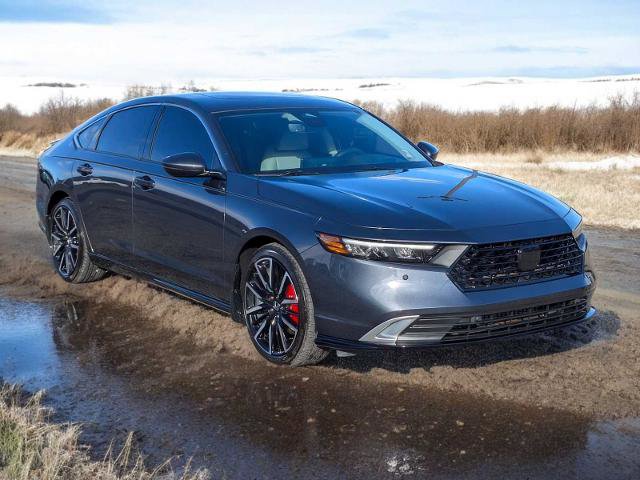 Used 2025 Honda Accord Touring image 8