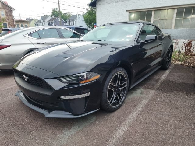 Certified 2019 Ford Mustang Premium