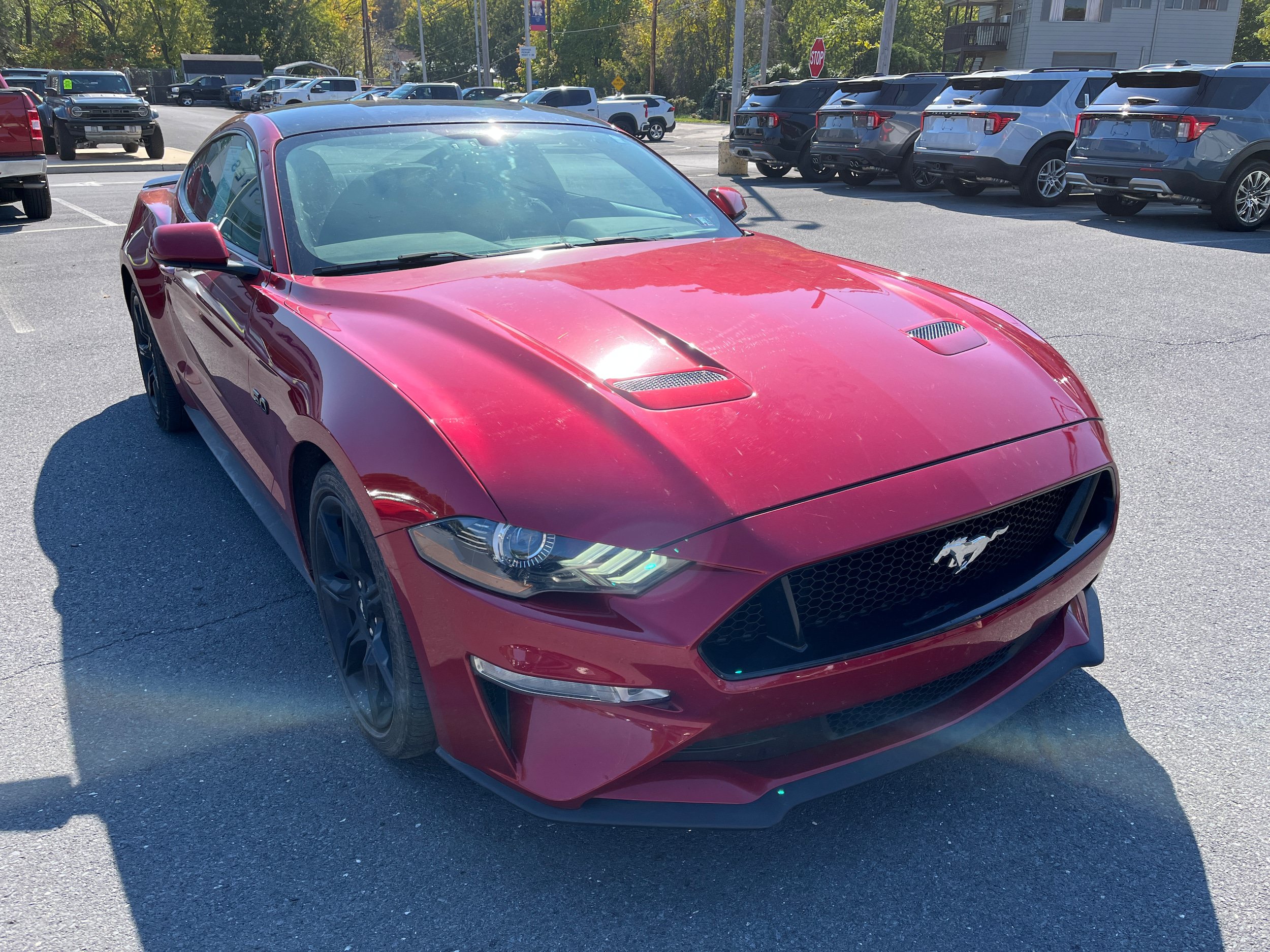 Certified 2020 Ford Mustang GT w/ Equipment Group 301A RWD image 4