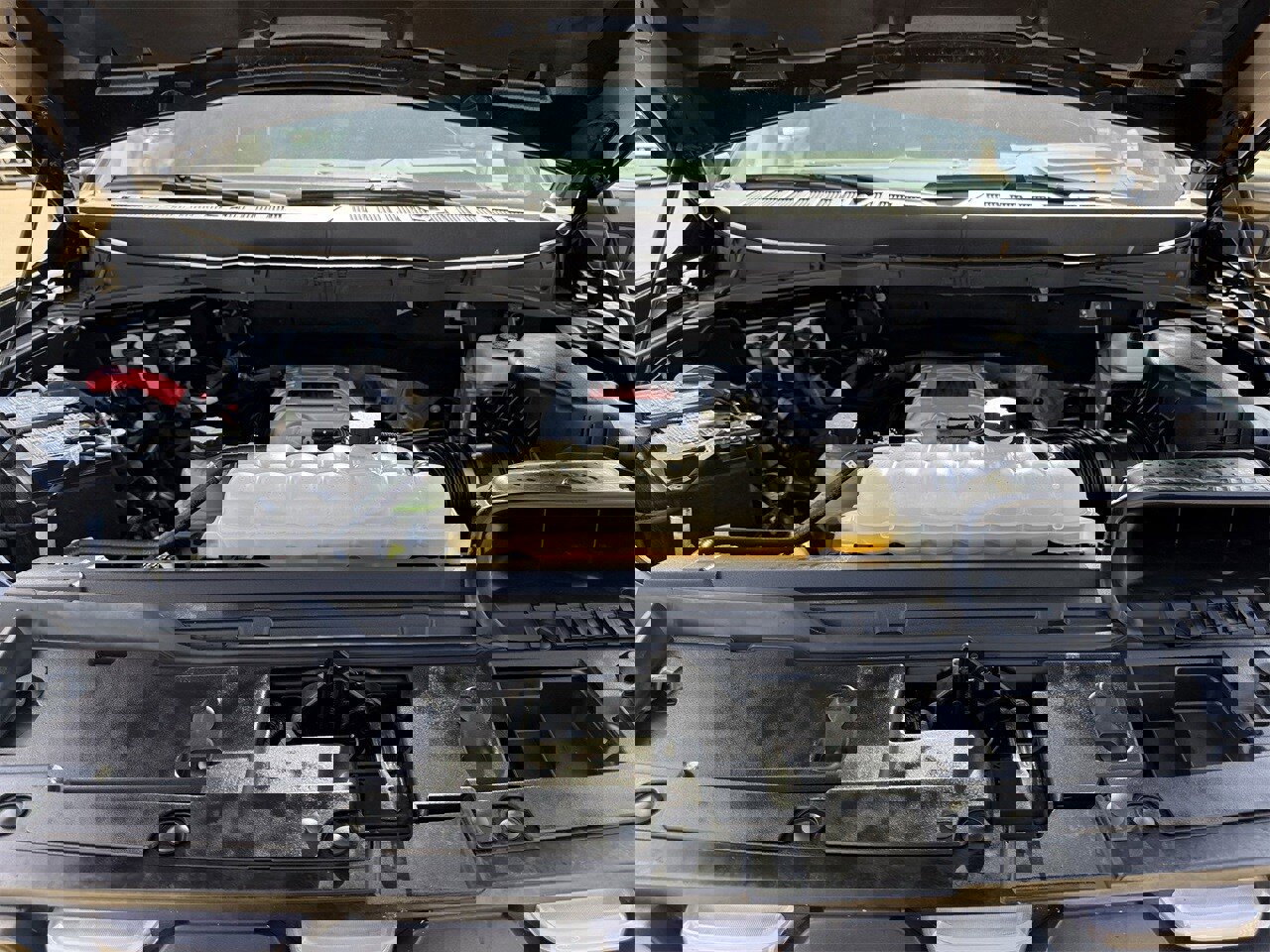 Certified 2025 Ford F150 Raptor w/ Equipment Group 803A Raptor R image 29