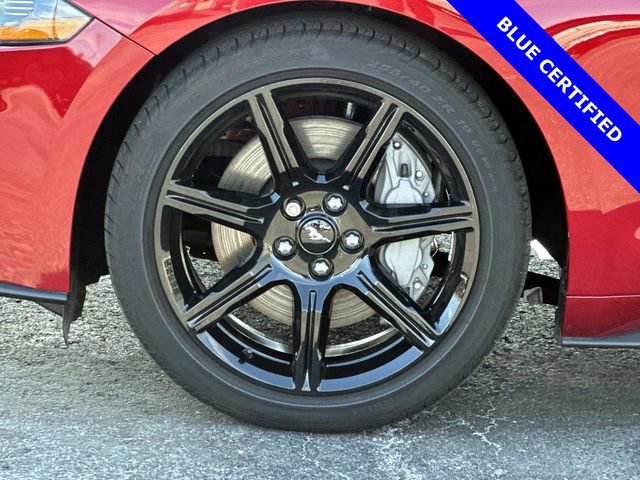 Certified 2019 Ford Mustang GT Premium w/ Equipment Group 401A RWD image 6
