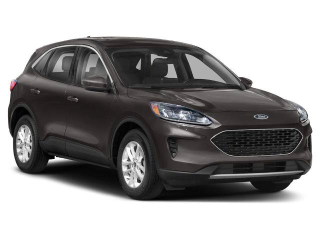 Certified 2022 Ford Escape SE w/ Convenience Package AWD/4WD image 6