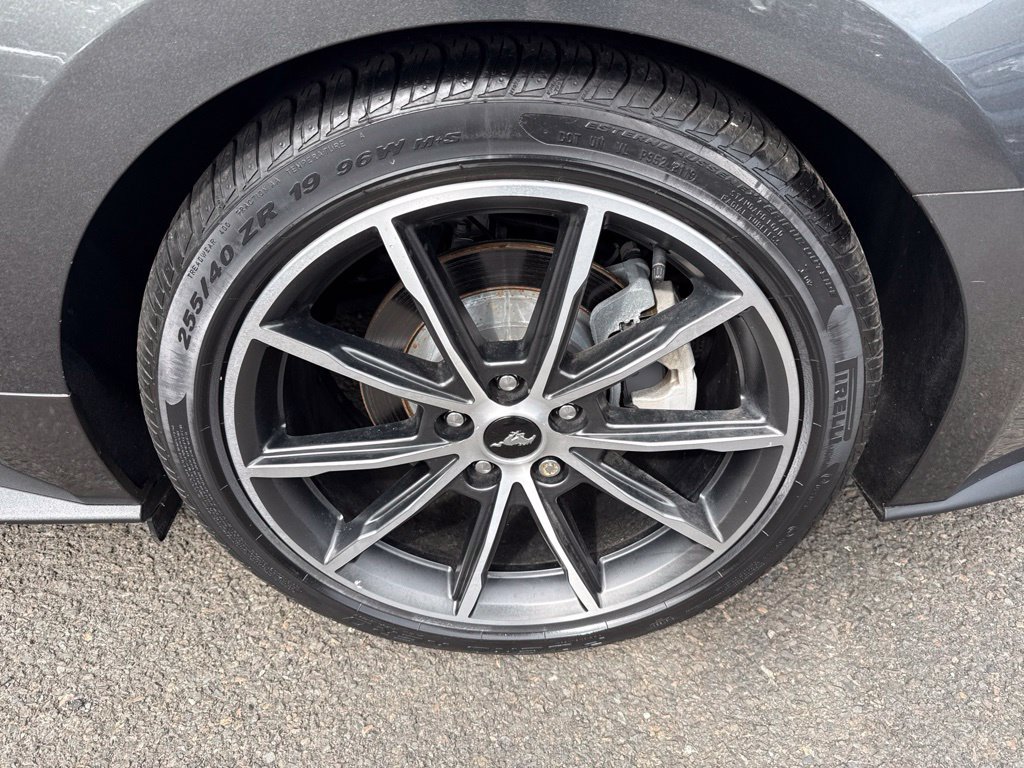 Certified 2019 Ford Mustang Premium w/ Equipment Group 201A RWD image 9