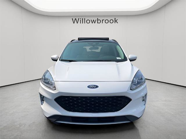 Certified 2022 Ford Escape SEL w/ Technology Package image 6