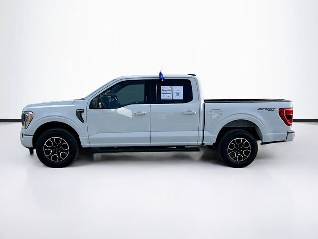 Certified 2023 Ford F150 XLT w/ Equipment Group 302A High image 4