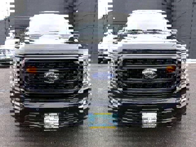 Certified 2023 Ford F150 XLT w/ Equipment Group 302A High image 6