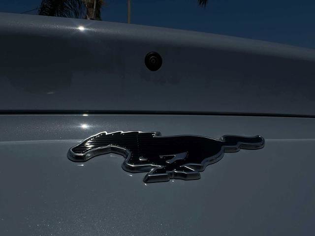 Certified 2025 Ford Mustang Mach-E Select RWD image 22