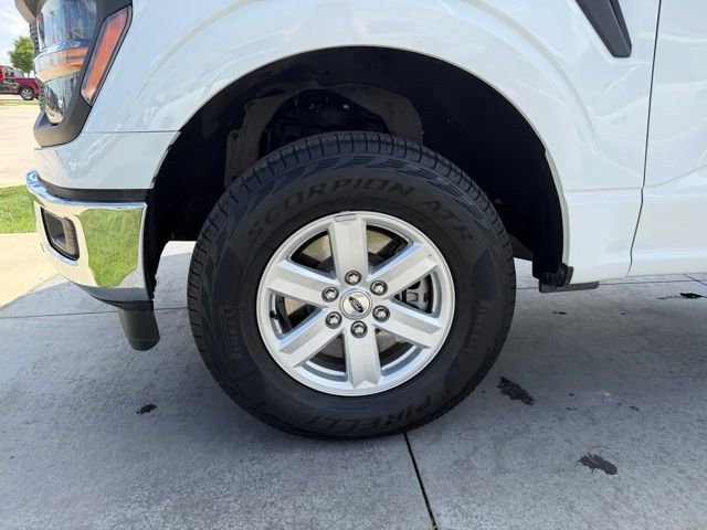 Certified 2024 Ford F150 XL w/ Equipment Group 103A High image 6