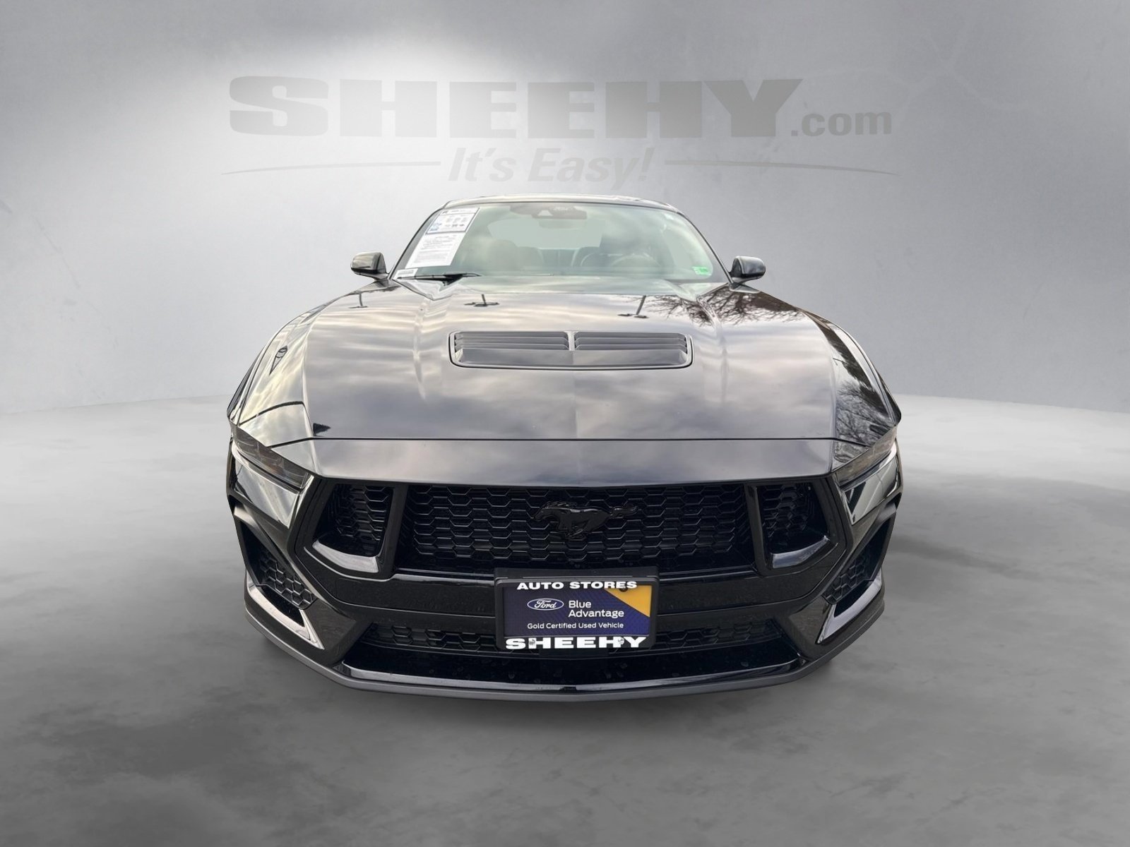 Certified 2025 Ford Mustang GT Premium w/ Mustang Nite Pony Package image 17