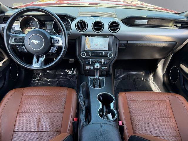 Certified 2019 Ford Mustang Premium RWD image 4