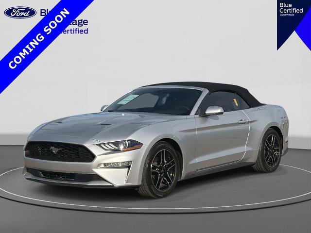 Certified 2019 Ford Mustang Premium