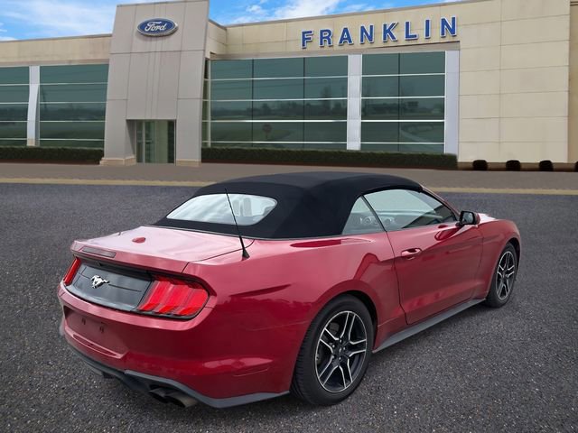 Certified 2022 Ford Mustang EcoBoost w/ Equipment Group 101A image 5