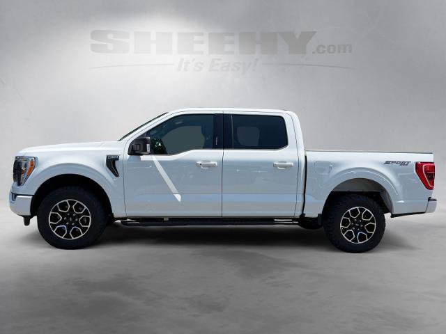 Certified 2023 Ford F150 XLT w/ Equipment Group 302A High AWD/4WD image 16