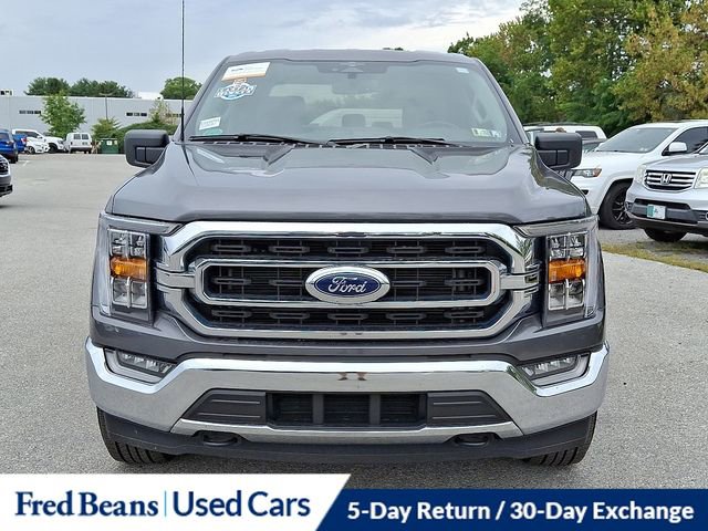 Certified 2023 Ford F150 XLT w/ Equipment Group 302A High image 3