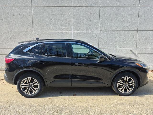 Certified 2022 Ford Escape SEL image 2