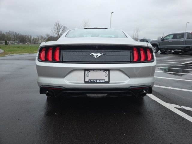 Certified 2019 Ford Mustang Coupe image 4