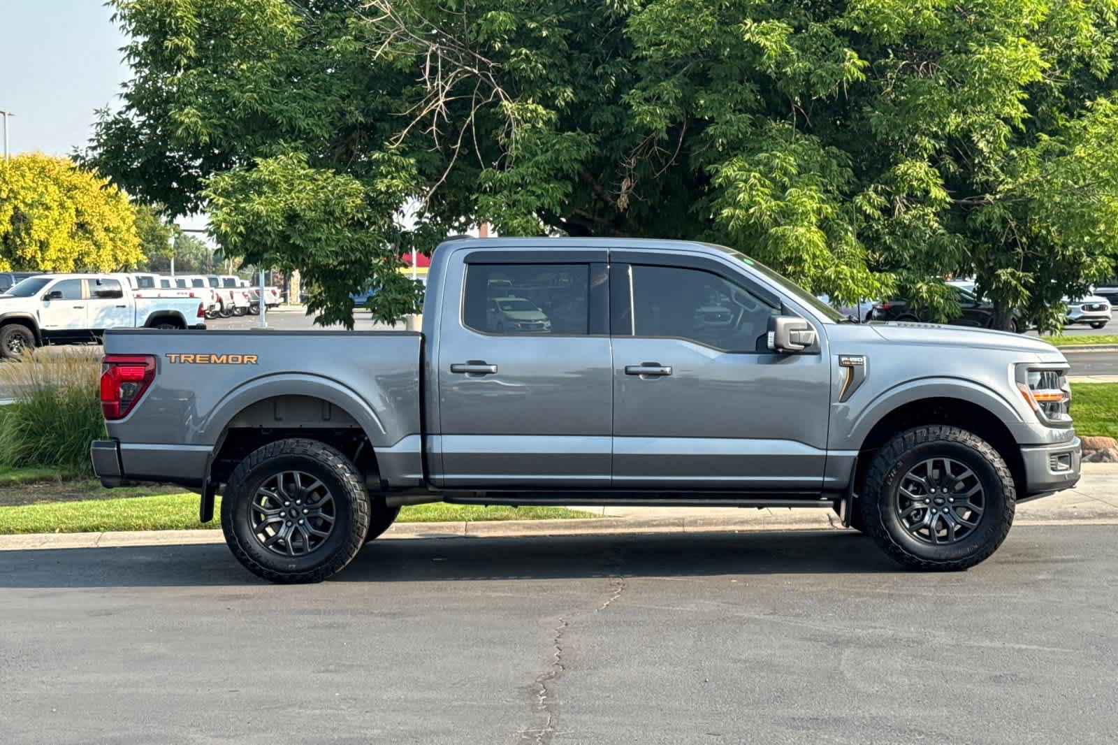 Certified 2025 Ford F150 Tremor w/ Tow/Haul Package AWD/4WD image 8
