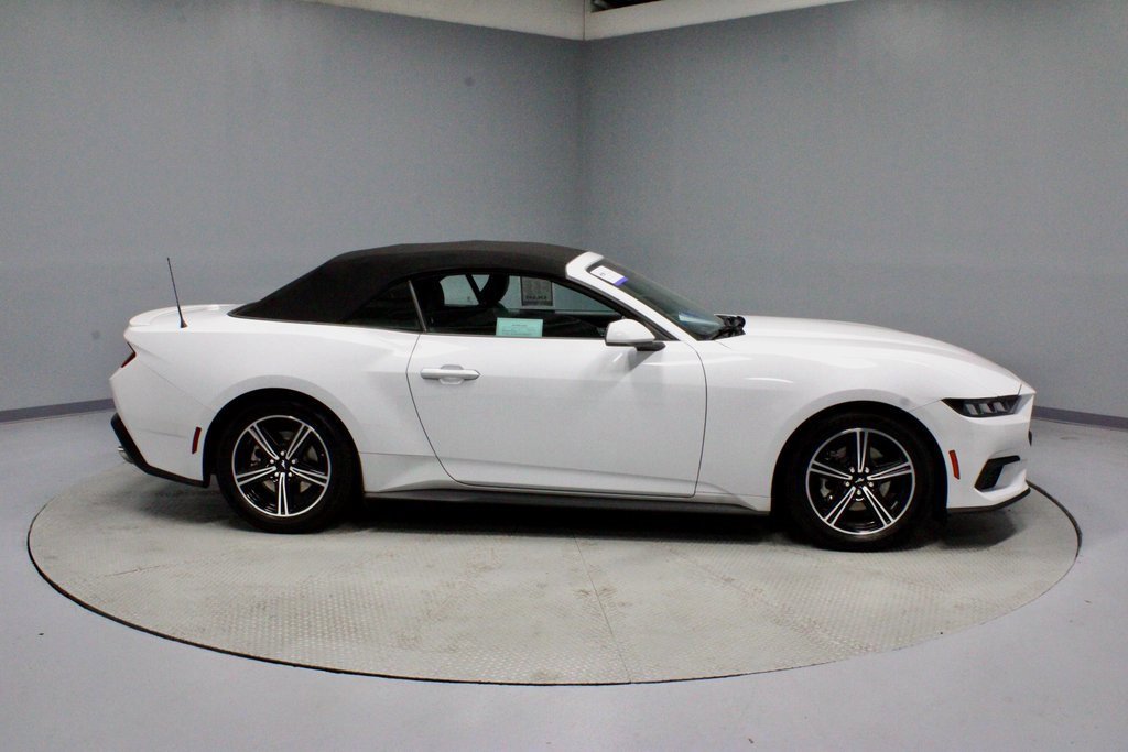 Certified 2024 Ford Mustang Premium image 6