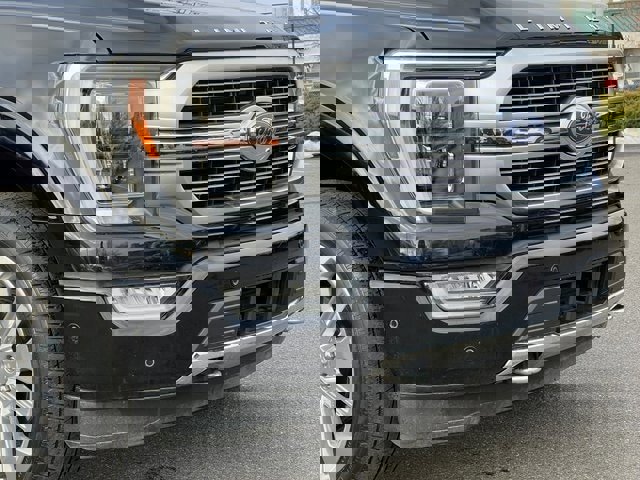 Certified 2023 Ford F150 Limited image 34