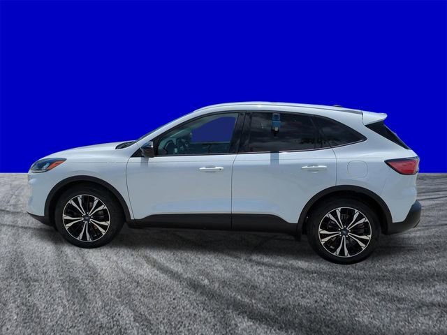 Certified 2021 Ford Escape SE w/ SE Sport Appearance Package FWD image 7