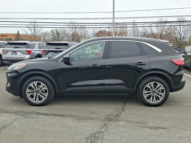 Certified 2022 Ford Escape SEL image 5