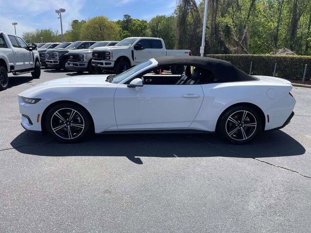 Certified 2024 Ford Mustang Premium image 2