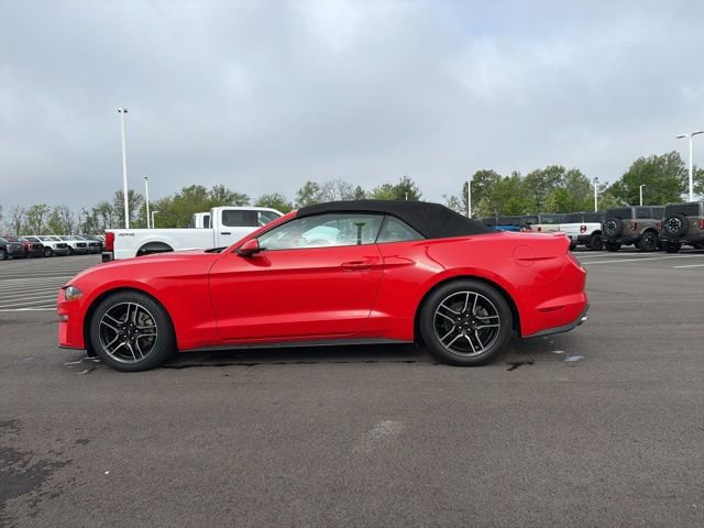 Certified 2020 Ford Mustang Premium RWD image 3