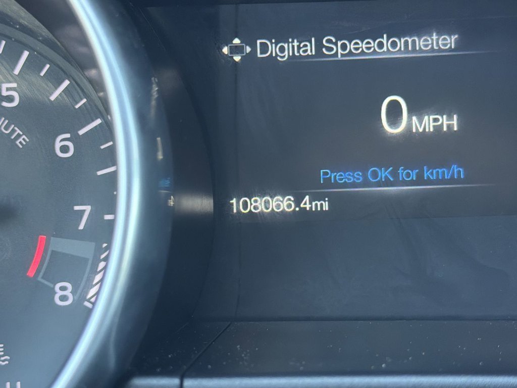 Certified 2019 Ford Mustang GT w/ Equipment Group 301A RWD image 14