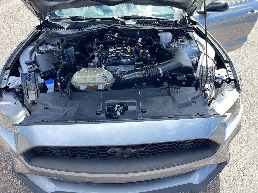 Certified 2022 Ford Mustang Coupe w/ Black Accent Package image 30