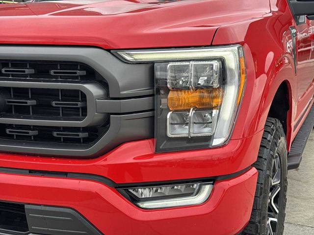 Certified 2023 Ford F150 XLT w/ Equipment Group 302A High AWD/4WD image 7