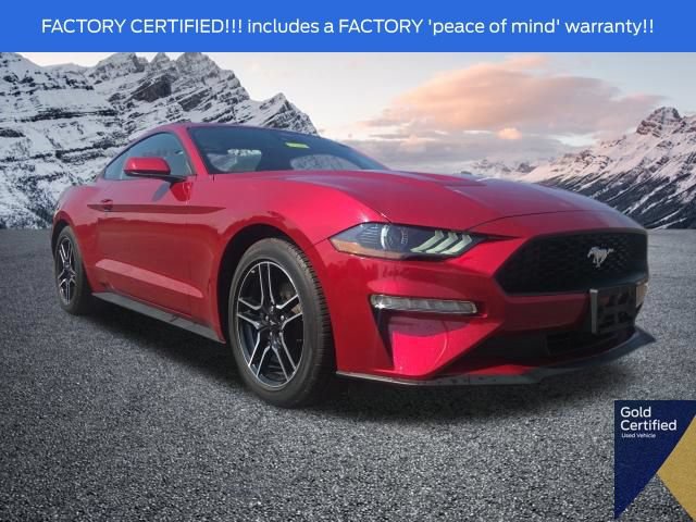 Certified 2023 Ford Mustang Coupe w/ Equipment Group 101A RWD image 1