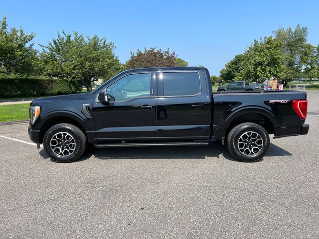 Certified 2023 Ford F150 XLT w/ Equipment Group 302A High AWD/4WD image 6