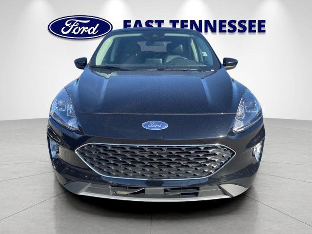 Certified 2022 Ford Escape SEL image 7