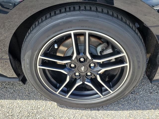 Certified 2022 Ford Mustang Premium image 6