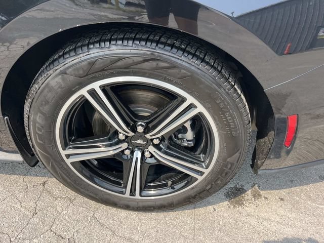 Certified 2024 Ford Mustang Premium RWD image 14