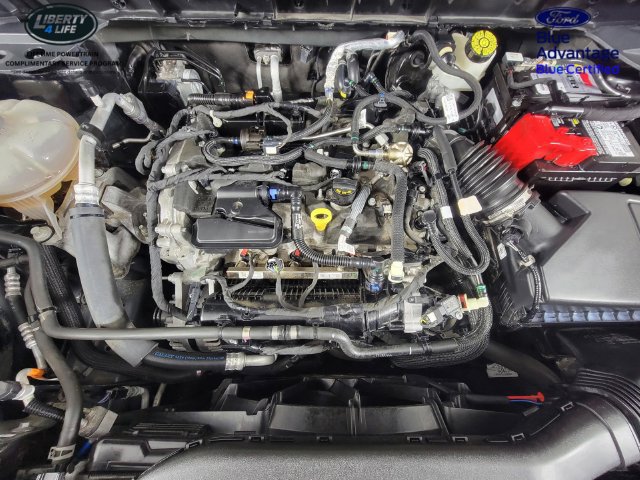 Certified 2021 Ford Escape SE w/ Convenience Package FWD image 37