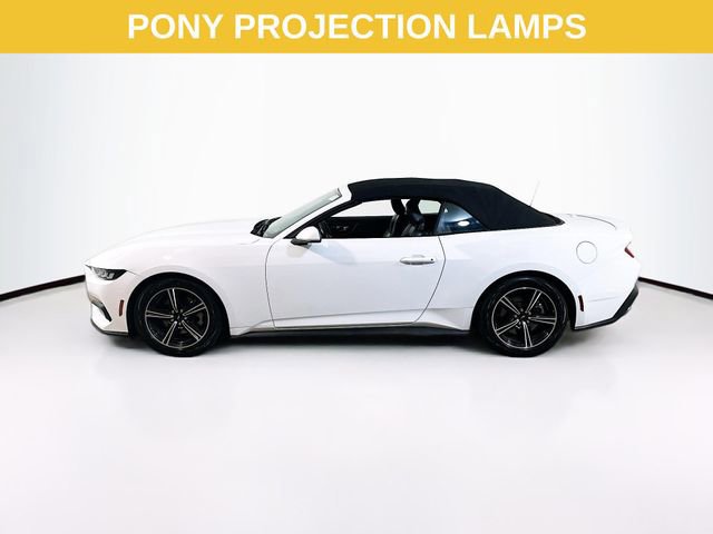 Certified 2024 Ford Mustang Premium image 3