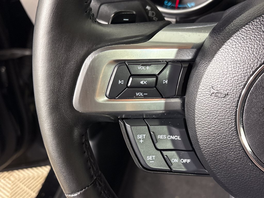 Certified 2019 Ford Mustang Premium RWD image 18