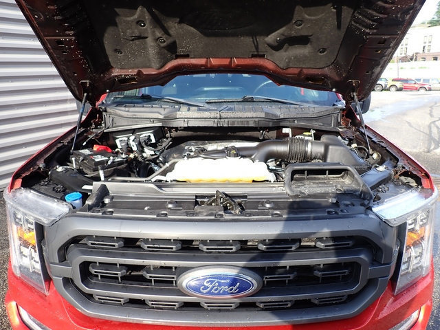 Certified 2023 Ford F150 XLT w/ Equipment Group 302A High AWD/4WD image 17