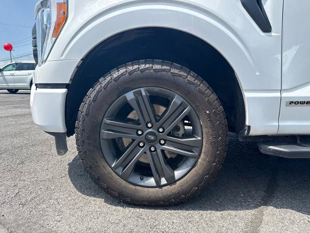 Certified 2023 Ford F150 XLT w/ Equipment Group 302A High AWD/4WD image 20