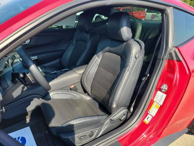 Certified 2024 Ford Mustang GT Premium RWD image 14