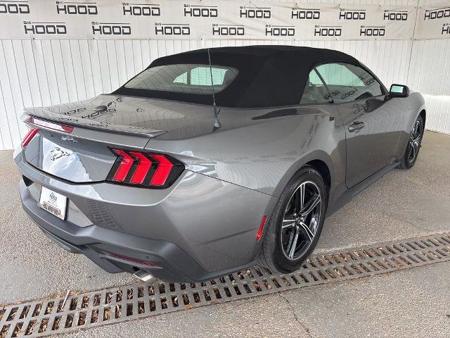 Certified 2025 Ford Mustang Premium RWD image 16